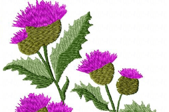 Wildflowers Embroidery Design Review for Craft Fairs